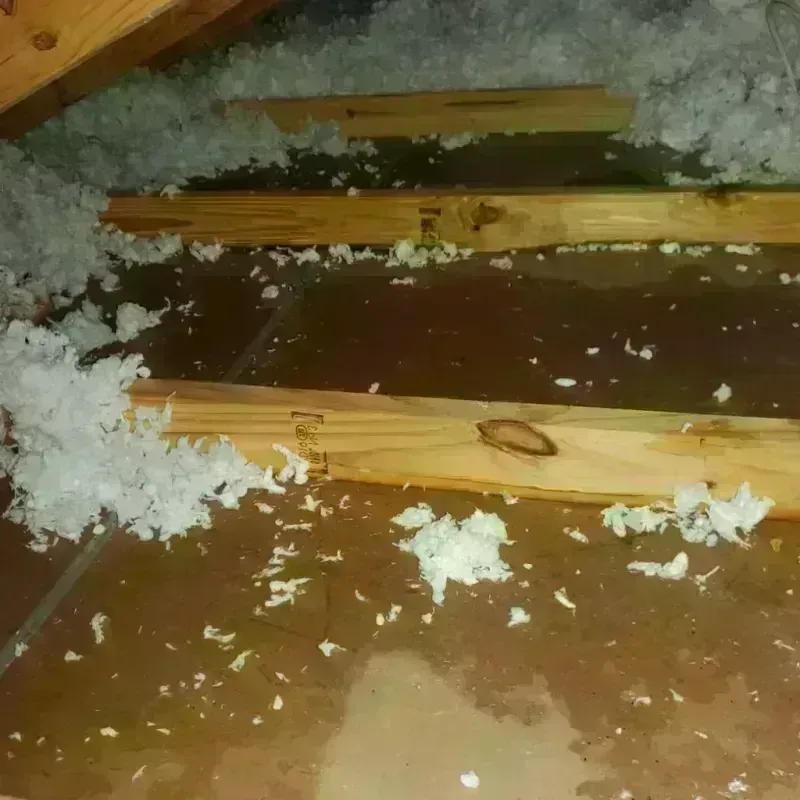 Attic Water Damage in Statesboro, GA